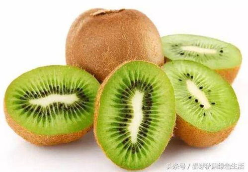 猕猴桃口味哪种比较好
