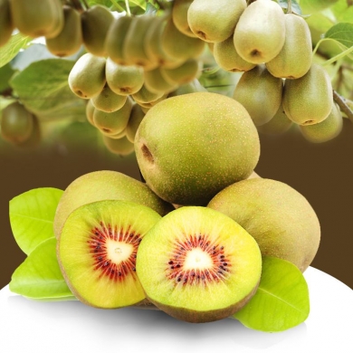 红心猕猴桃 品味苍溪的天然绿色珍品
