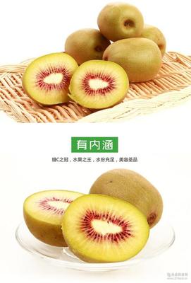 红心猕猴桃 营养与健康的多重益处