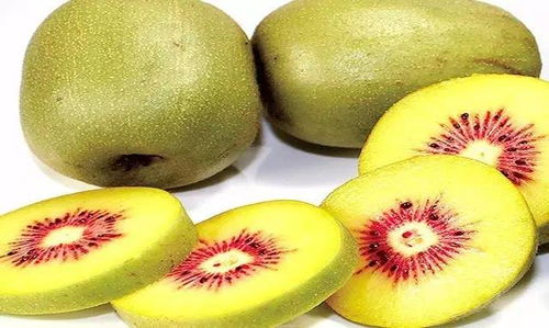 国庆有福利，红心猕猴桃 你消费，我买单