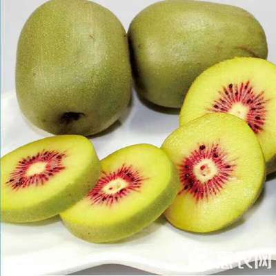 苍溪红心猕猴桃，甜蜜上市正当时