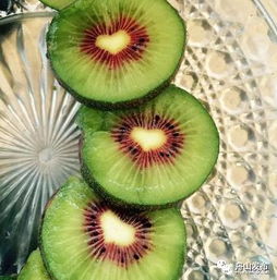 舟山红心猕猴桃熟啦，邀您共品秋日甜美