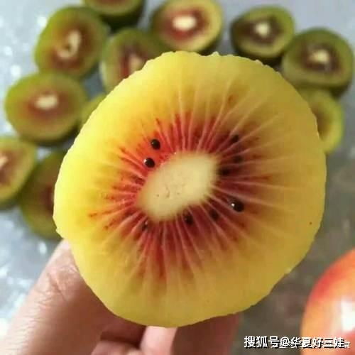 红心猕猴桃和绿心猕猴桃, 哪个更有营养 老果农说出实情